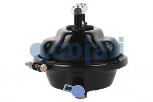 KETASPIDURI KAMBER T24