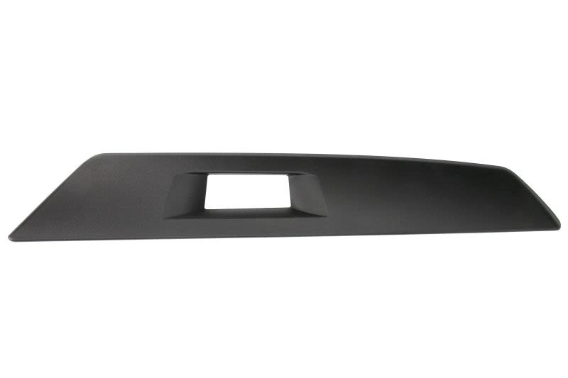 VOLVO FH4 PEEGLIKATE PAREM