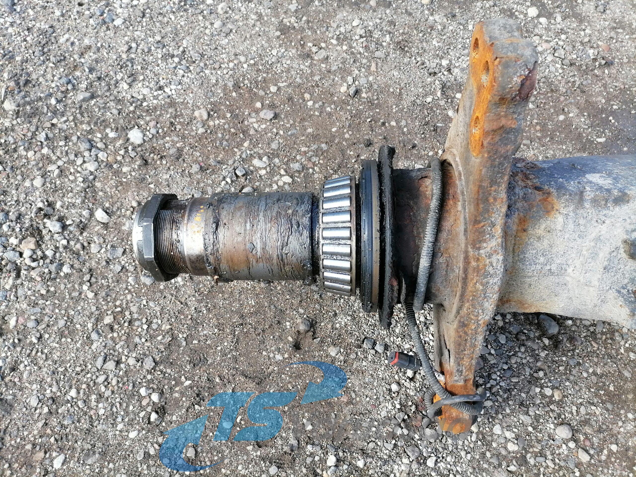 Veosilla tala, ADA1300